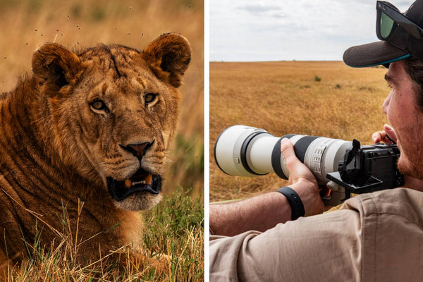 East African Photography - Sony Zooms in the Wild